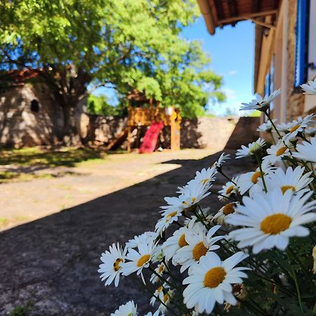 Kuca Dida Jure Villa Pridraga Kültér fotó