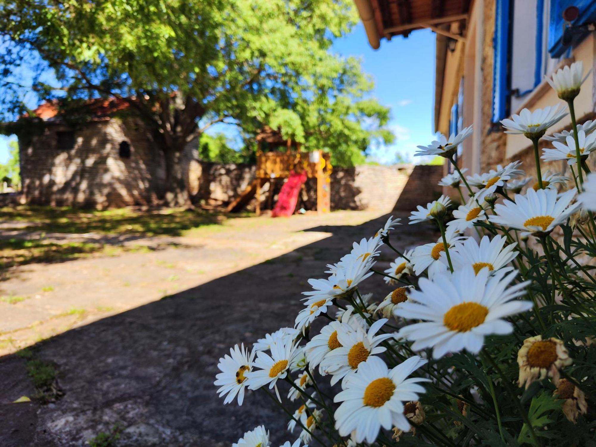 Kuca Dida Jure Villa Pridraga Kültér fotó